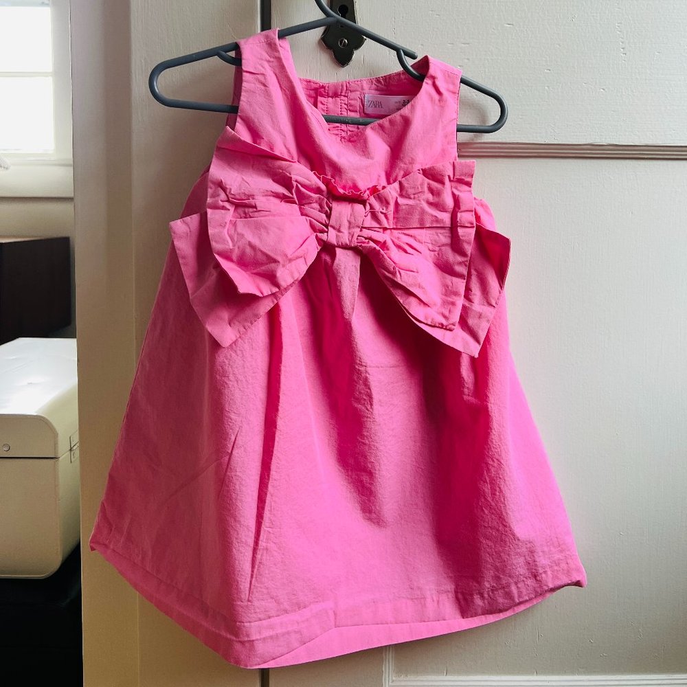 Zara Pink Poplin Dress
